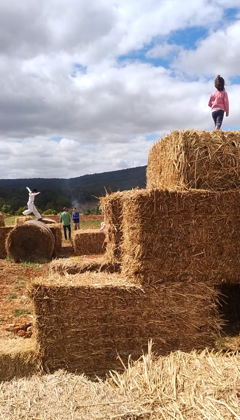 Hay Tractor