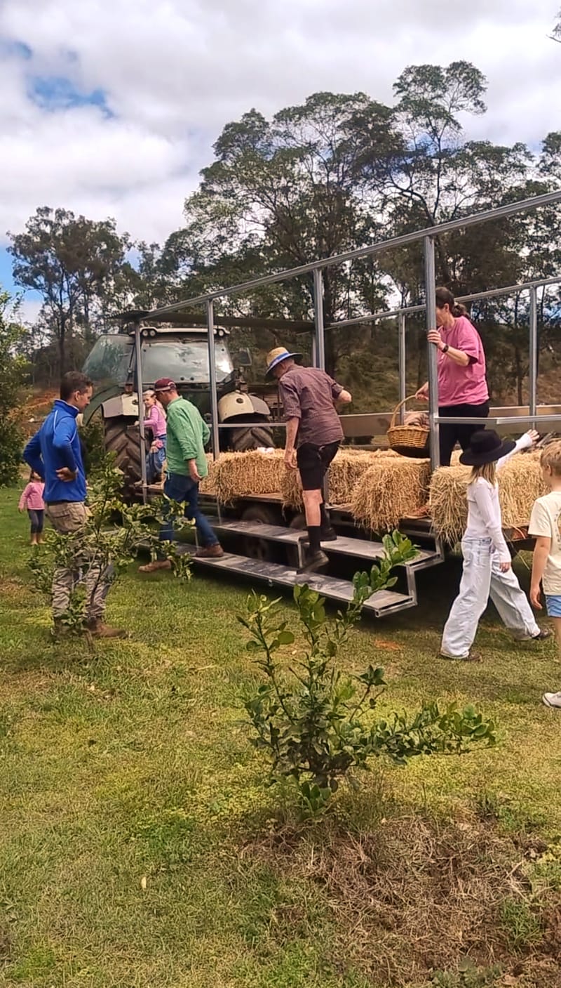 Hayrides
